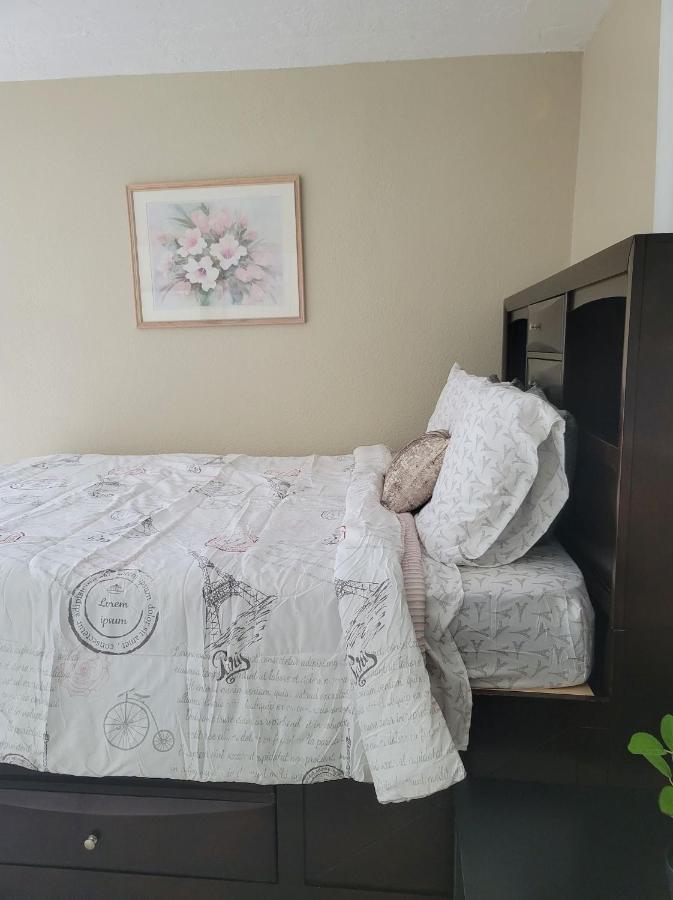 Entire Guesthouse 5 Mins To Siesta Key & Downtown 사라소타 외부 사진